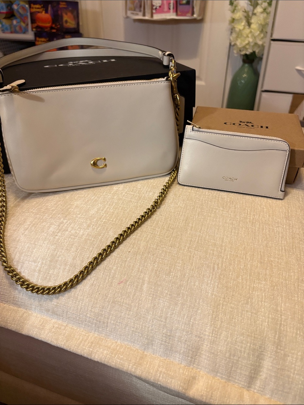 Coach Audrey Leather Shoulder Bag with two straps and card case